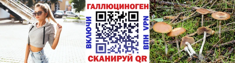 Псилоцибиновые грибы мухоморы  даркнет сайт  Новоалтайск 