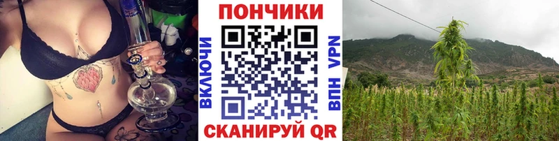 ОМГ ОМГ ССЫЛКА  Новоалтайск  Бошки марихуана Bruce Banner 